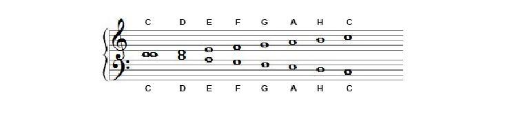 Bass clef it is recommended to start from a note up to the first octave